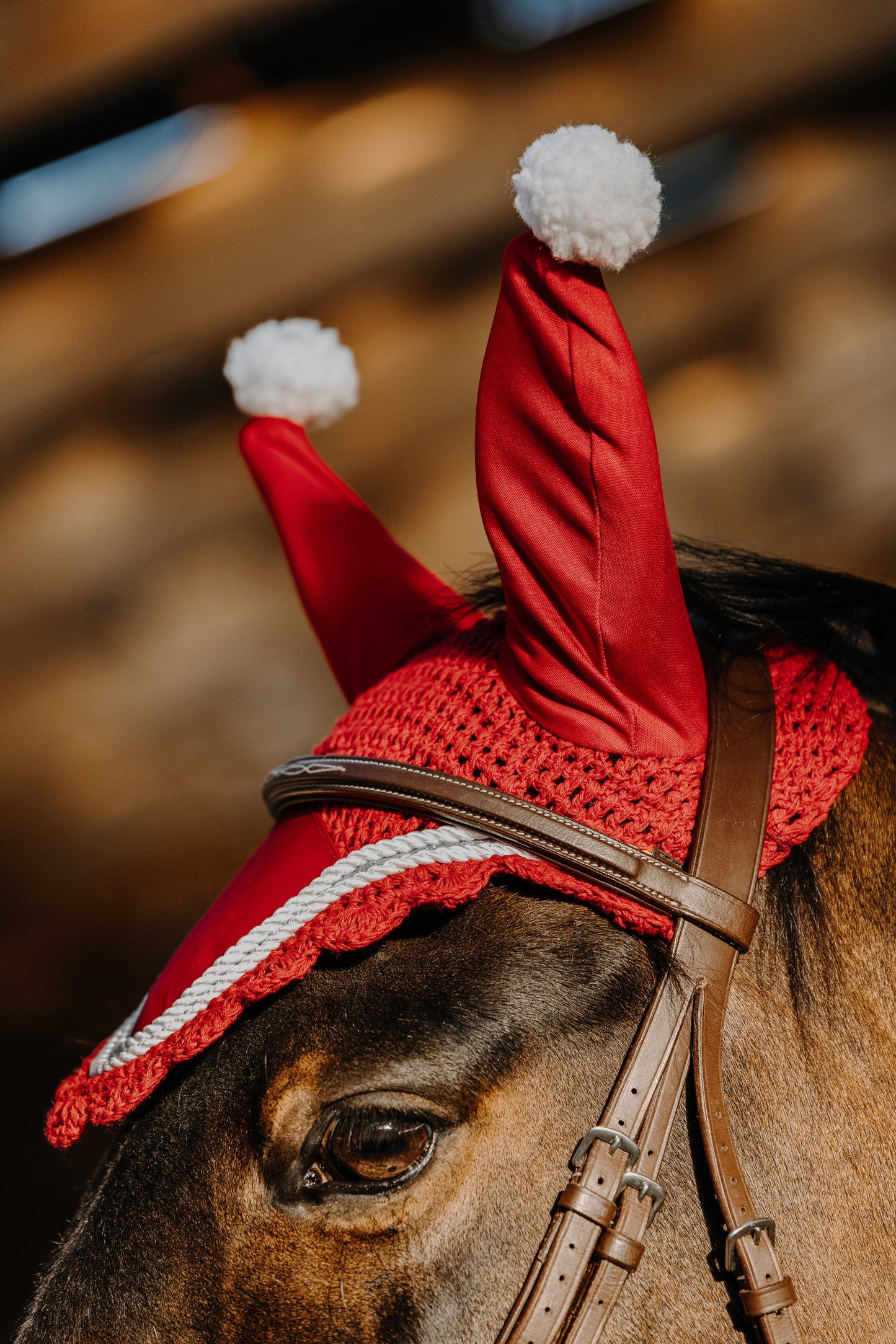 Bonnet EQUITHÈME - Xmas - 2 tailles à choix