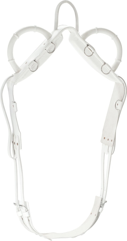 Surfaix de voltige NORTON blanc