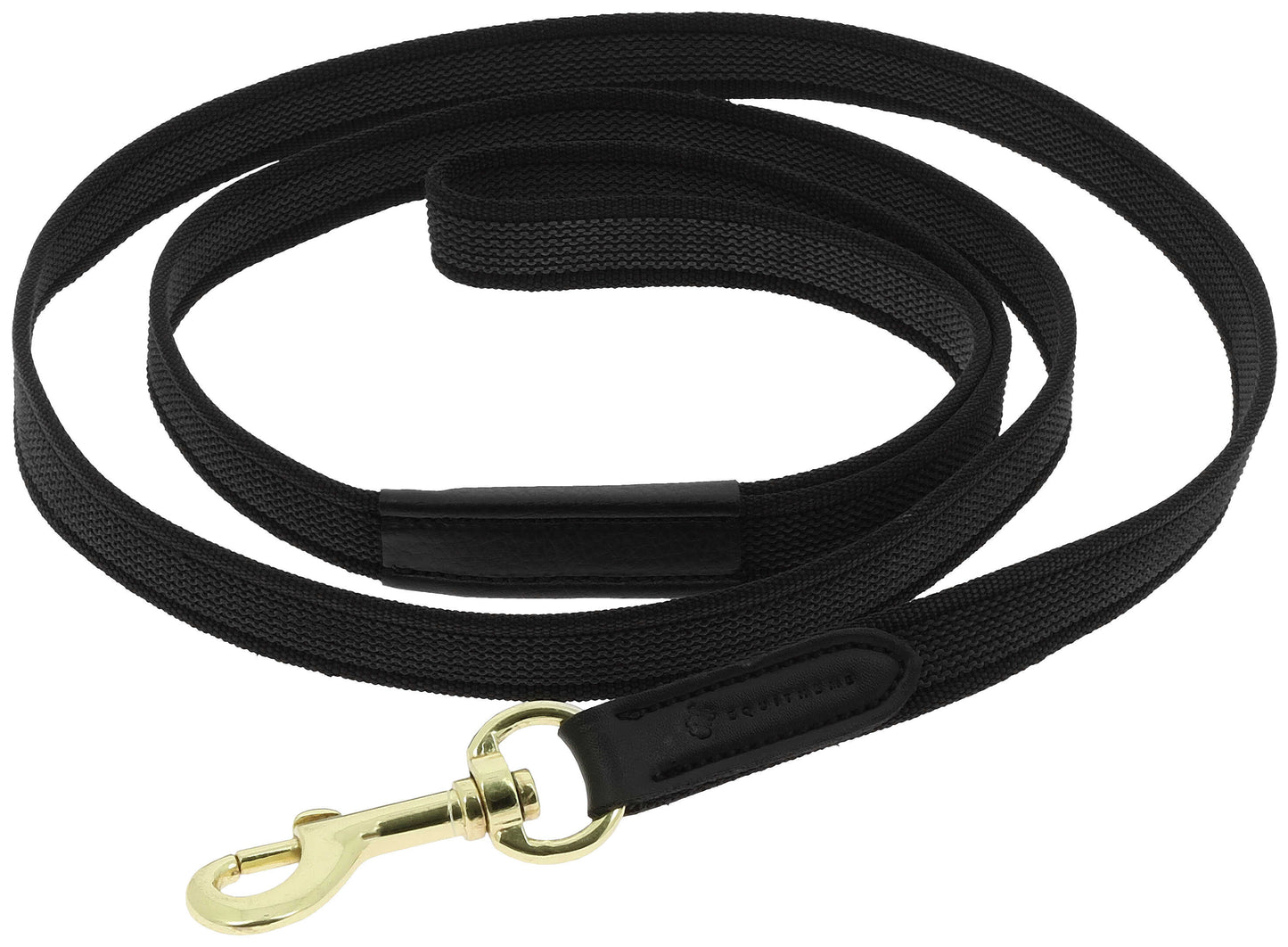 Laisse pour chien EQUITHÈME - Nala