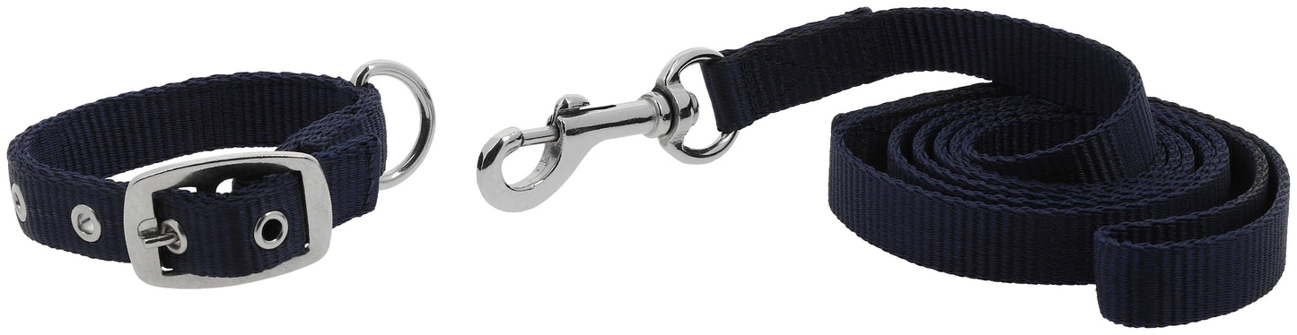 Collier et laisse pour chien RIDING WORLD - Oscar - 4 coloris - 3 tailles