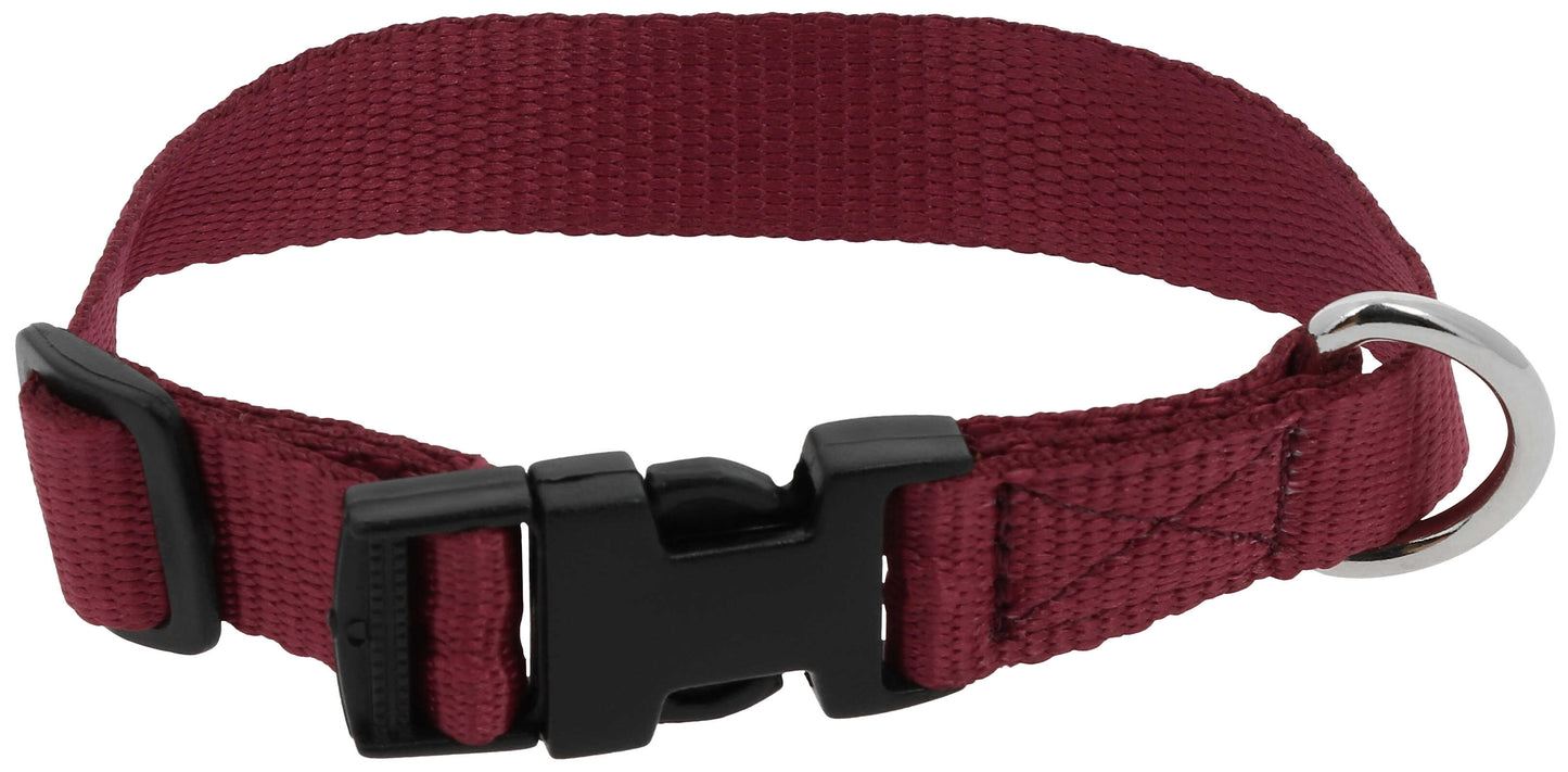 Collier pour chien RIDING WORLD - Pat - 8 coloris - 3 tailles