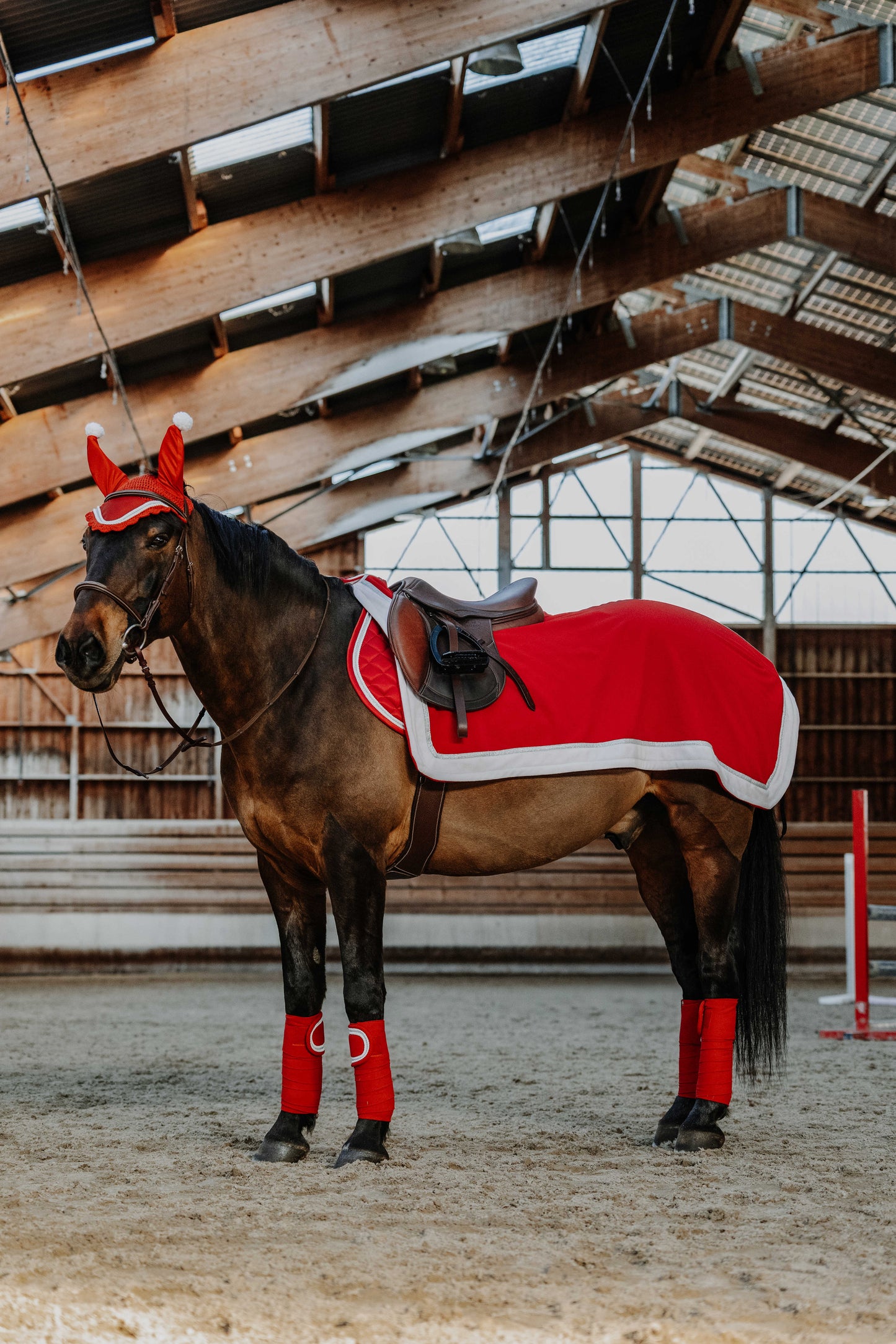 Bandes de polo EQUITHÈME - Xmas