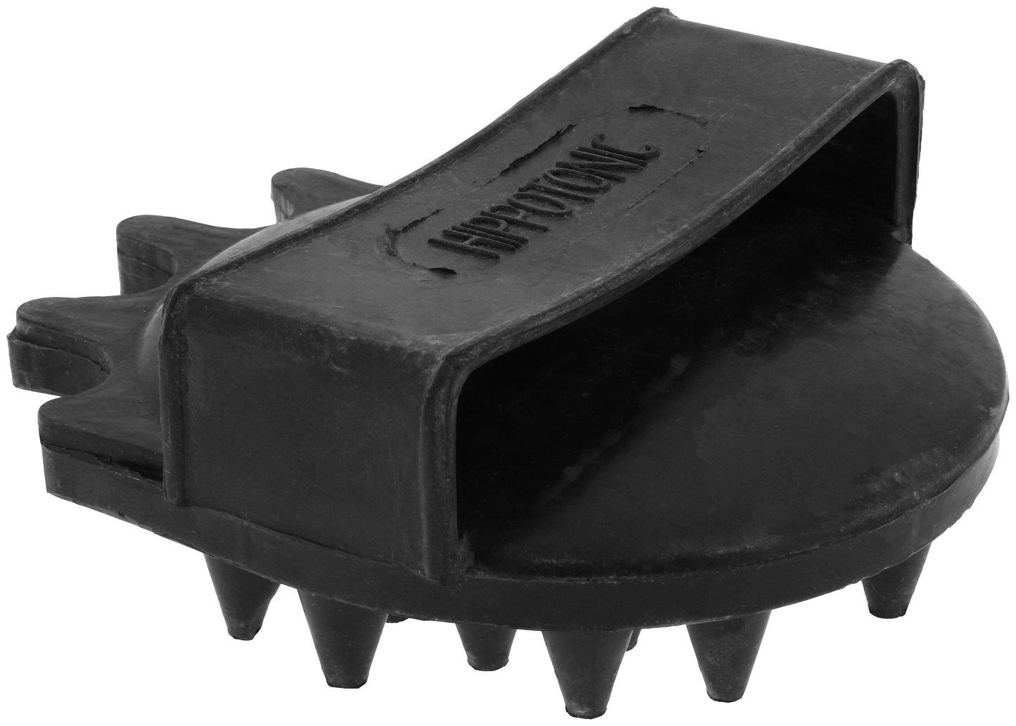 Brosse de massage HIPPOTONIC - Gros pics