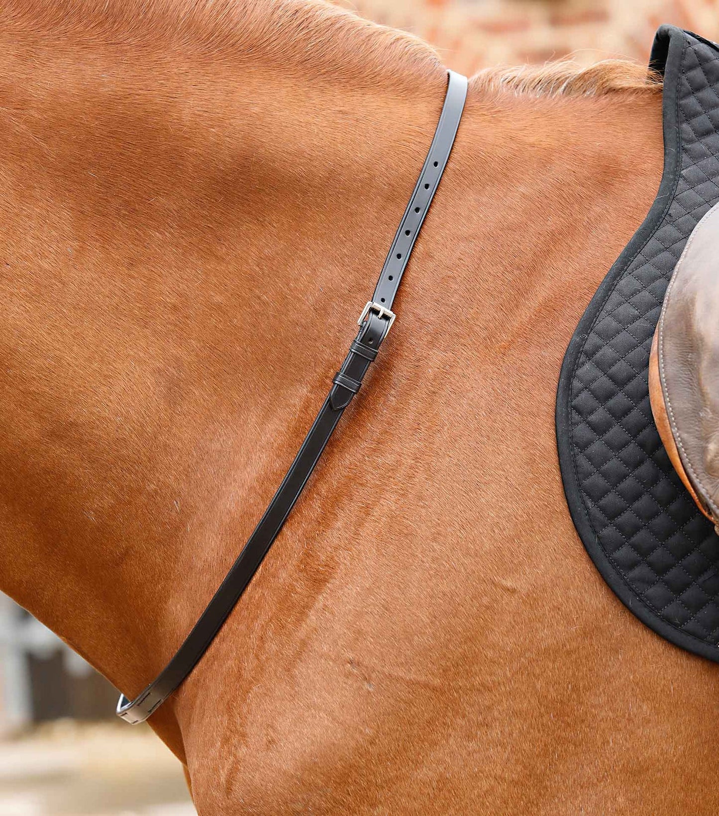 Sangle de cou PREMIER EQUINE Altino