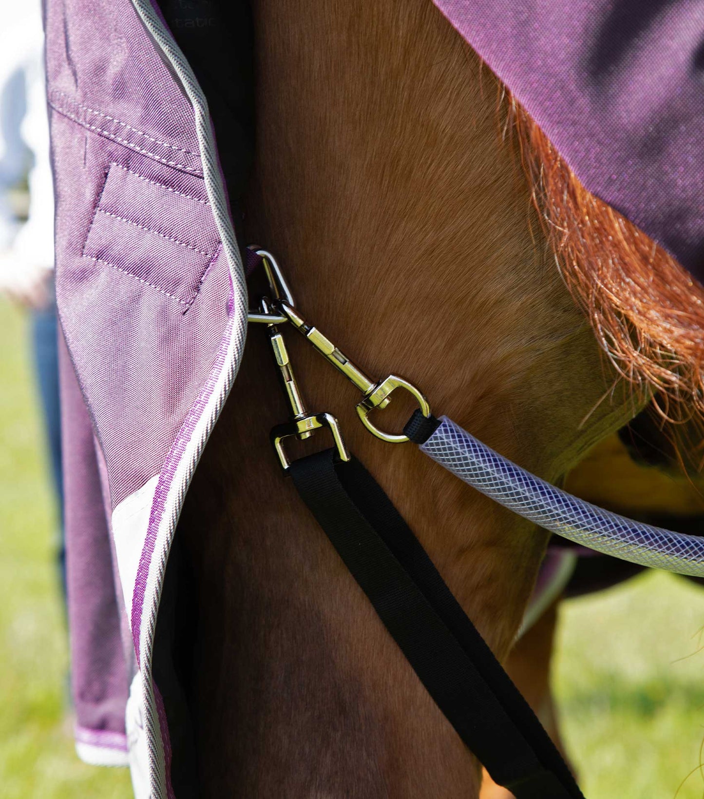 Couverture d'extérieur PREMIER EQUINE "BUSTER 840D" 70g avec couvre-cou classique amovible
