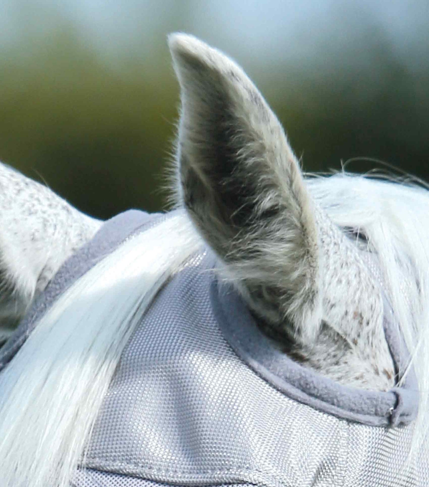 Masques anti-mouches PREMIER EQUINE Buster Standard