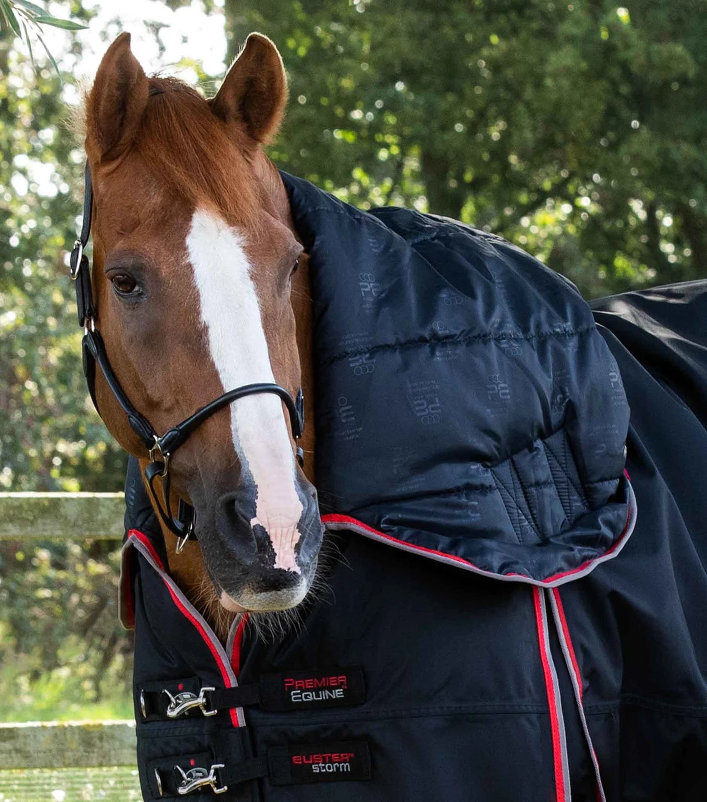 Couverture d'extérieur PREMIER EQUINE "BUSTER 840D" Storm 400g Combo avec couvre-cou ajusté intégré