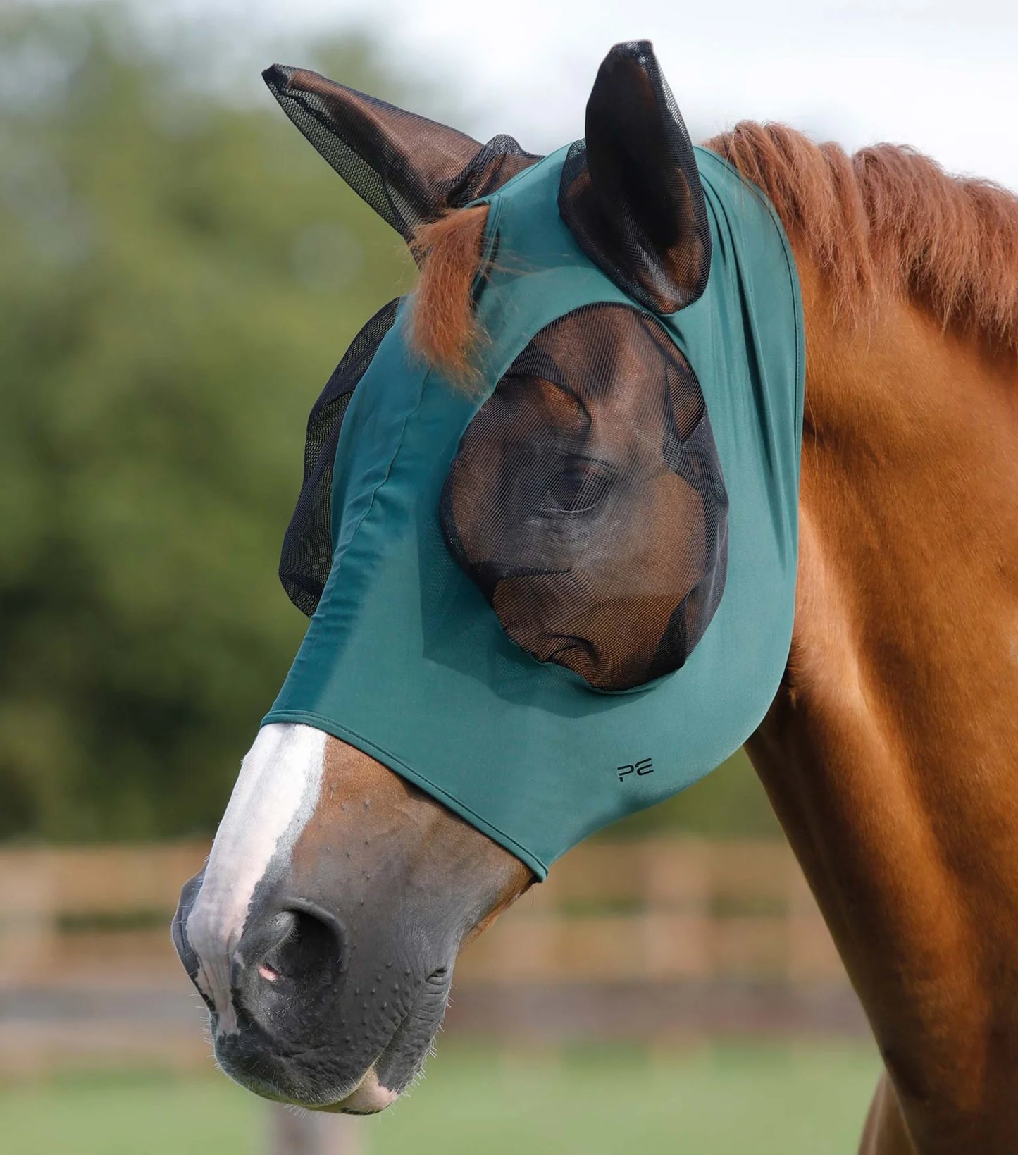 Masques anti-mouches PREMIER EQUINE