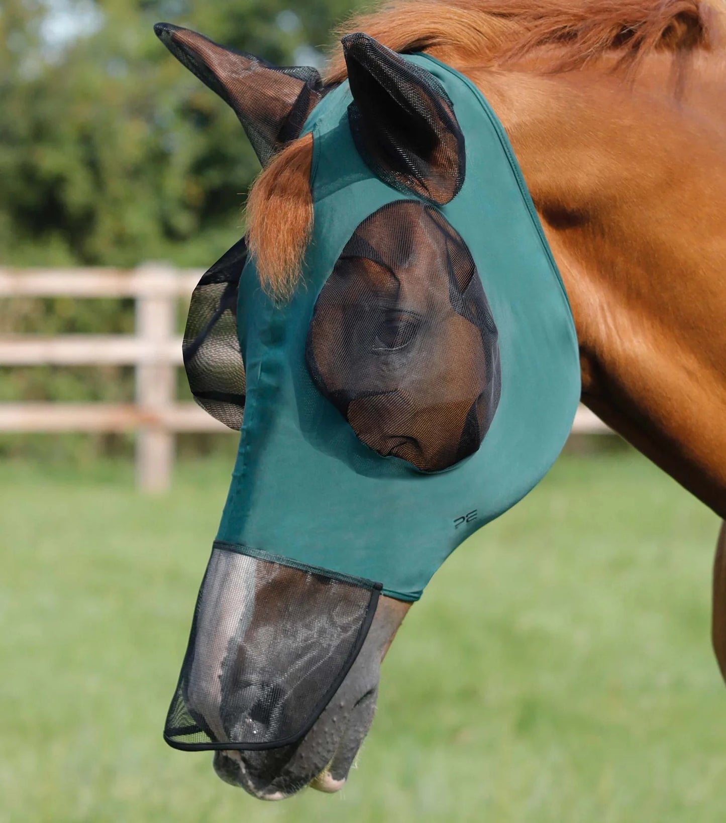 Masques anti-mouches PREMIER EQUINE avec filet nasal