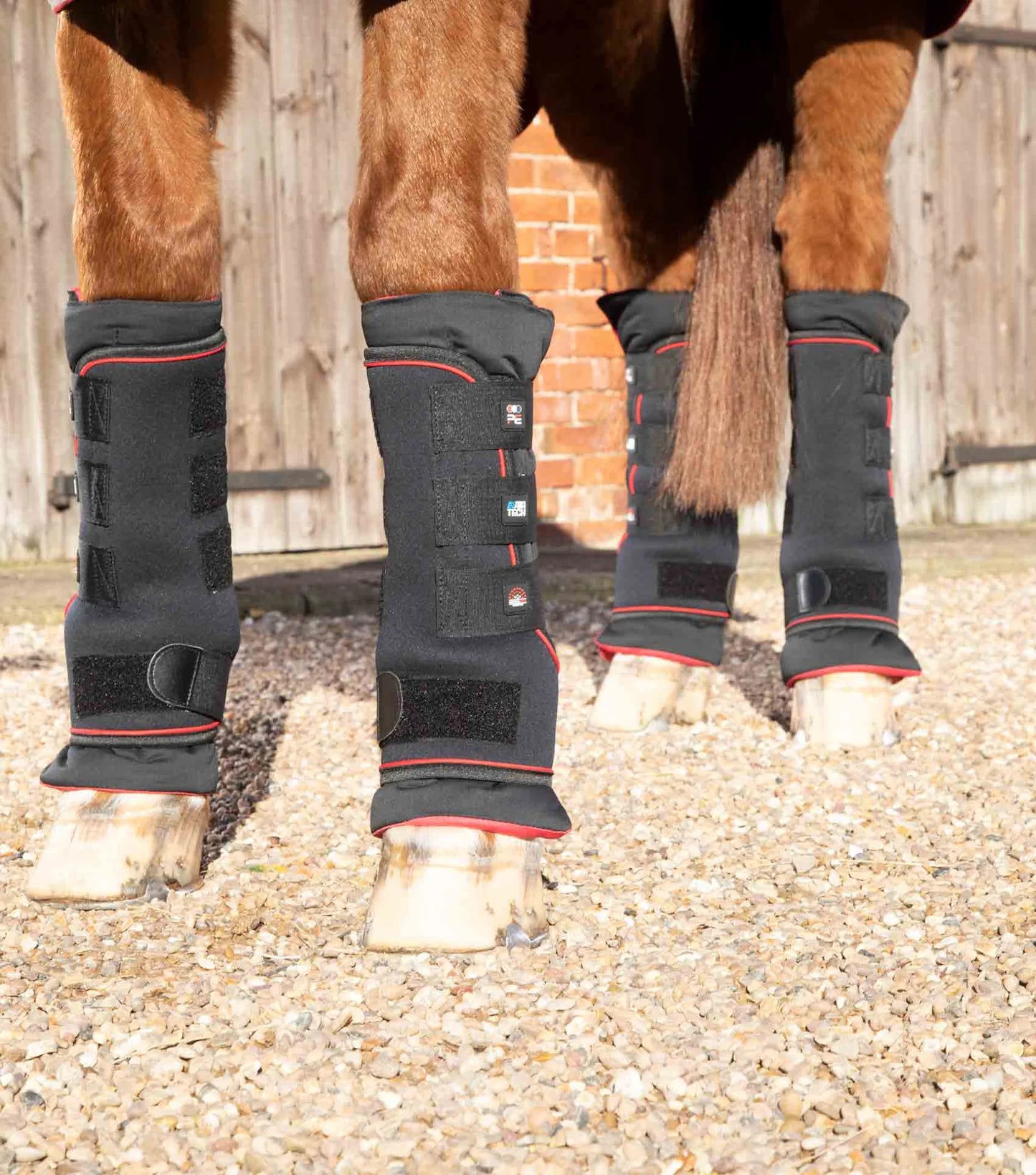 Guêtres infrarouges PREMIER EQUINE Nano-Tec Inc.