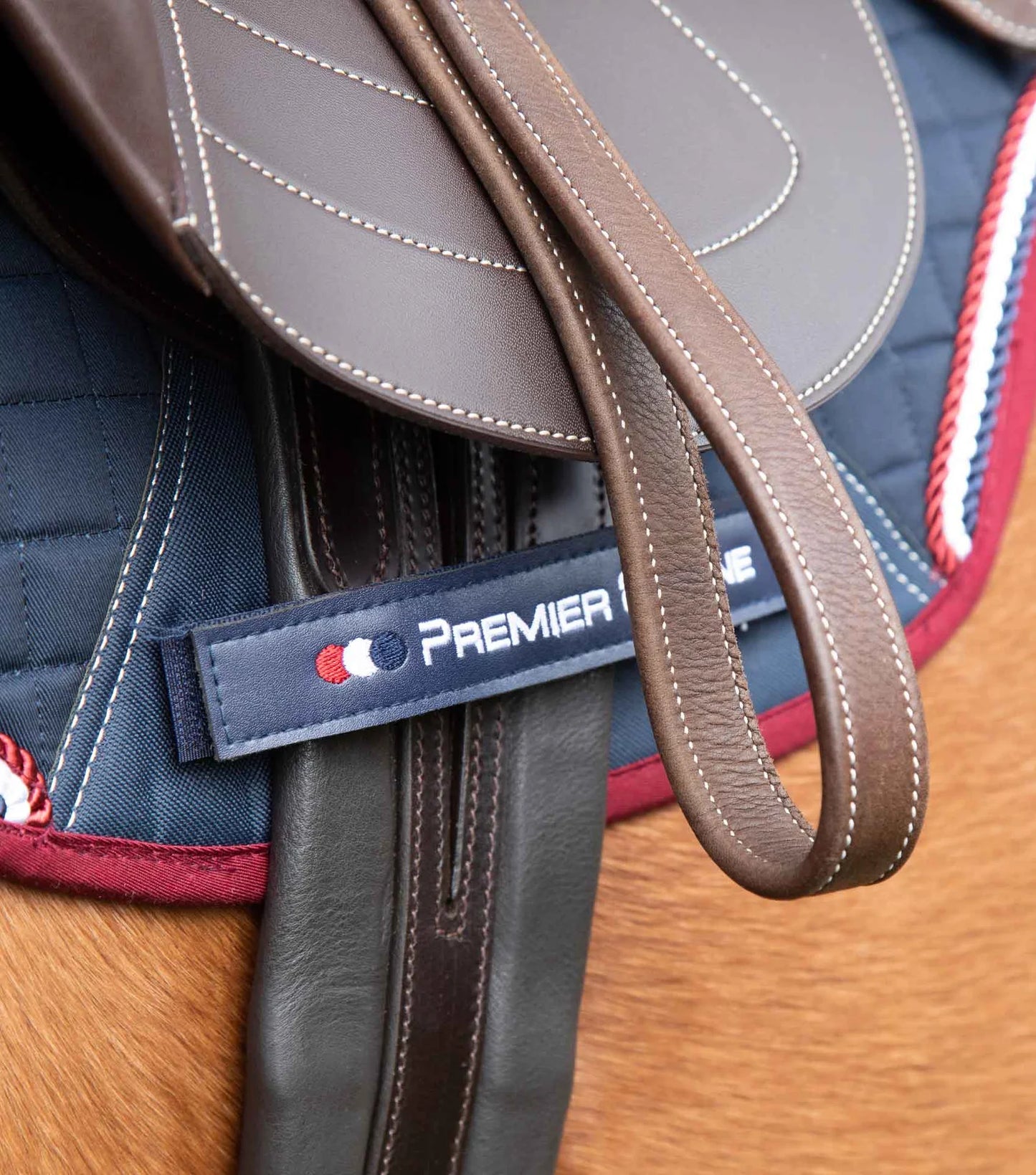 Sangle en cuir PREMIER EQUINE Rapone