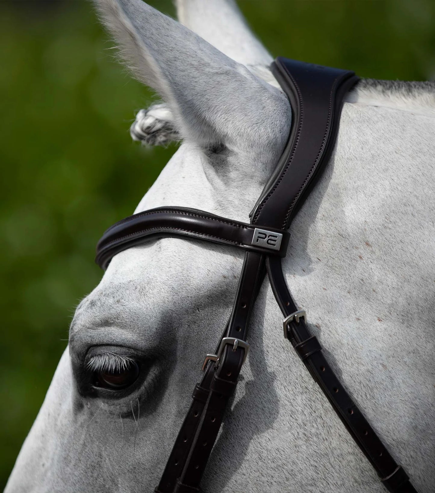 Bridon anatomique PREMIER EQUINE Rizzo