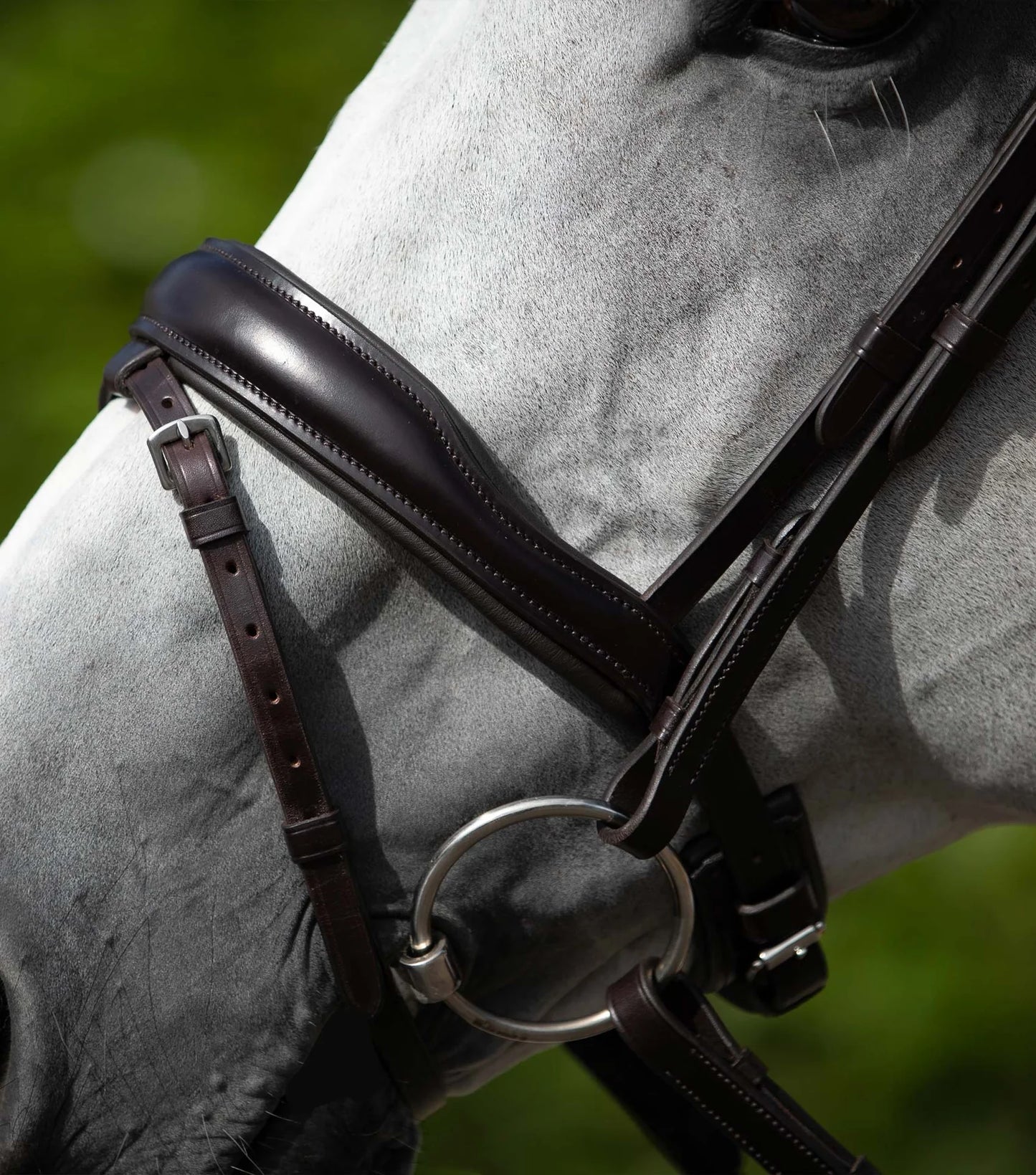 Bridon anatomique PREMIER EQUINE Rizzo