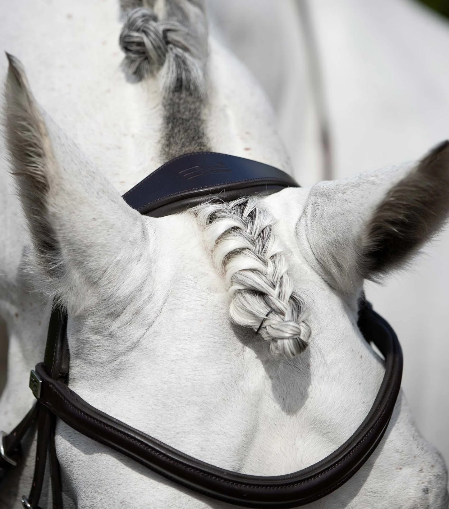 Bridon anatomique PREMIER EQUINE Rizzo