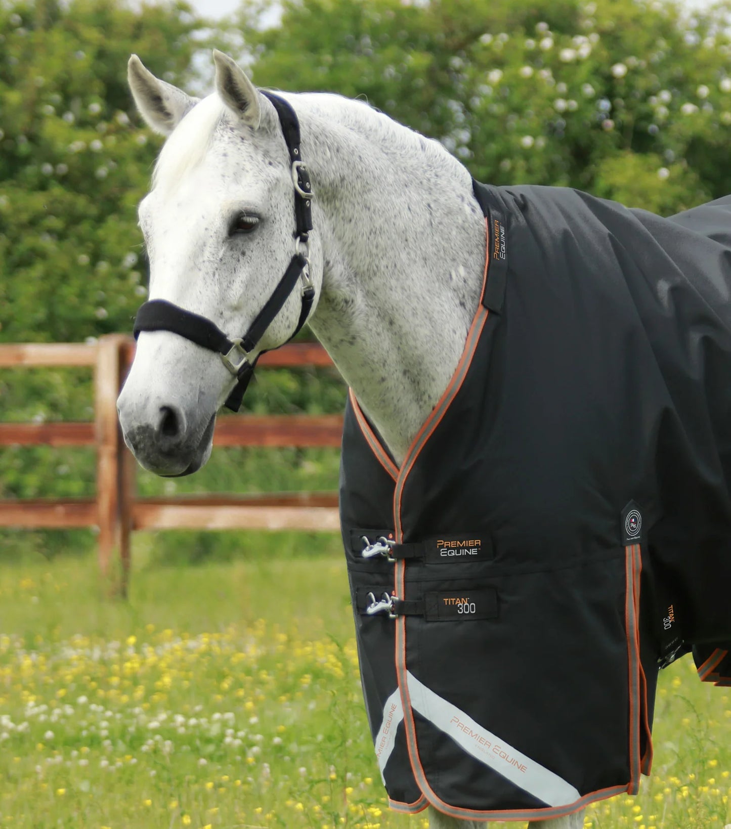Couverture d'extérieur PREMIER EQUINE "TITAN 1680D" 300g avec couvre-cou ajusté amovible
