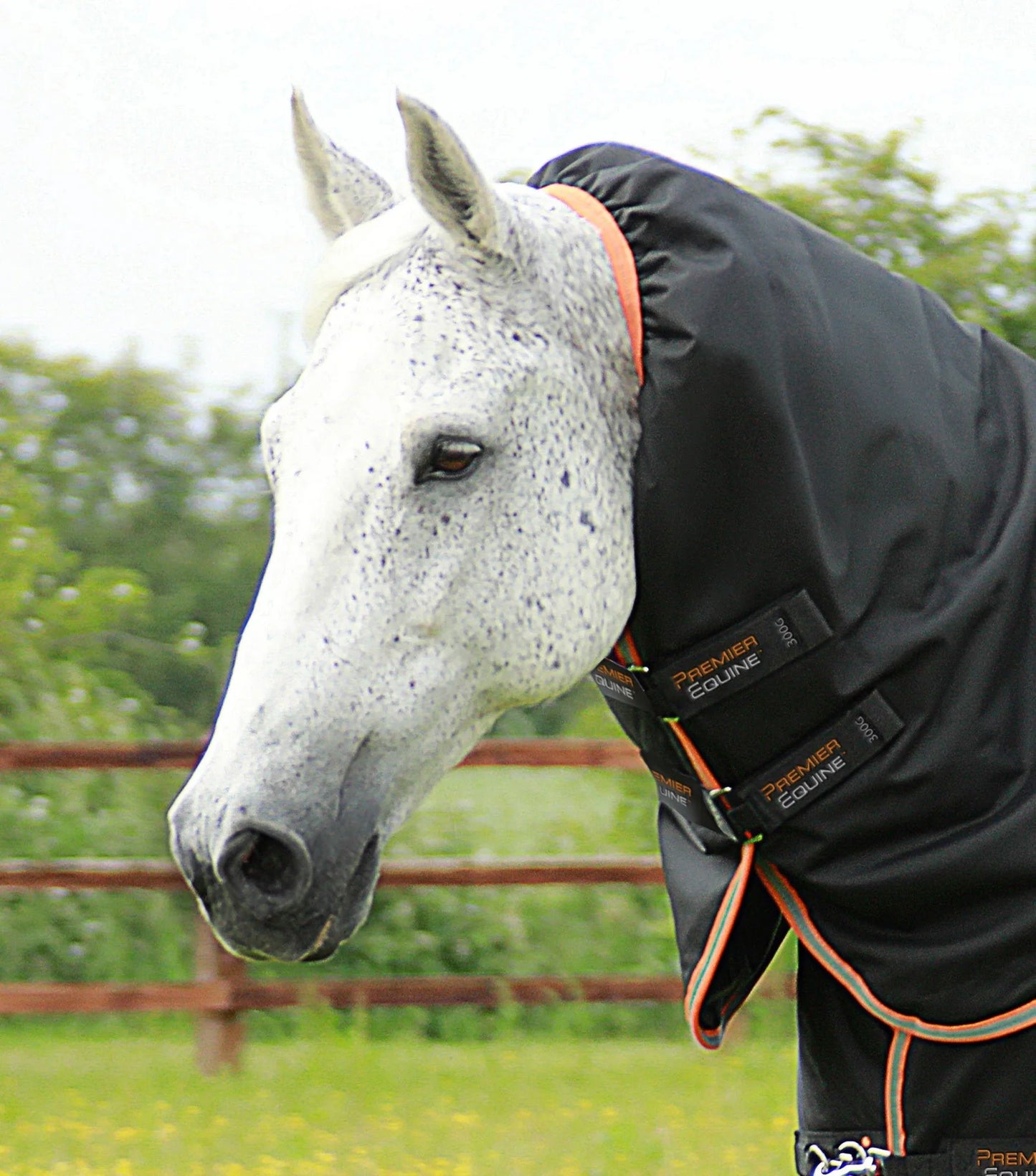 Couverture d'extérieur PREMIER EQUINE "TITAN 1680D" 300g avec couvre-cou ajusté amovible