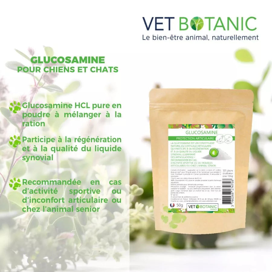 GLUCOSAMINE PURE – Protection articulaire des chiens et des chats