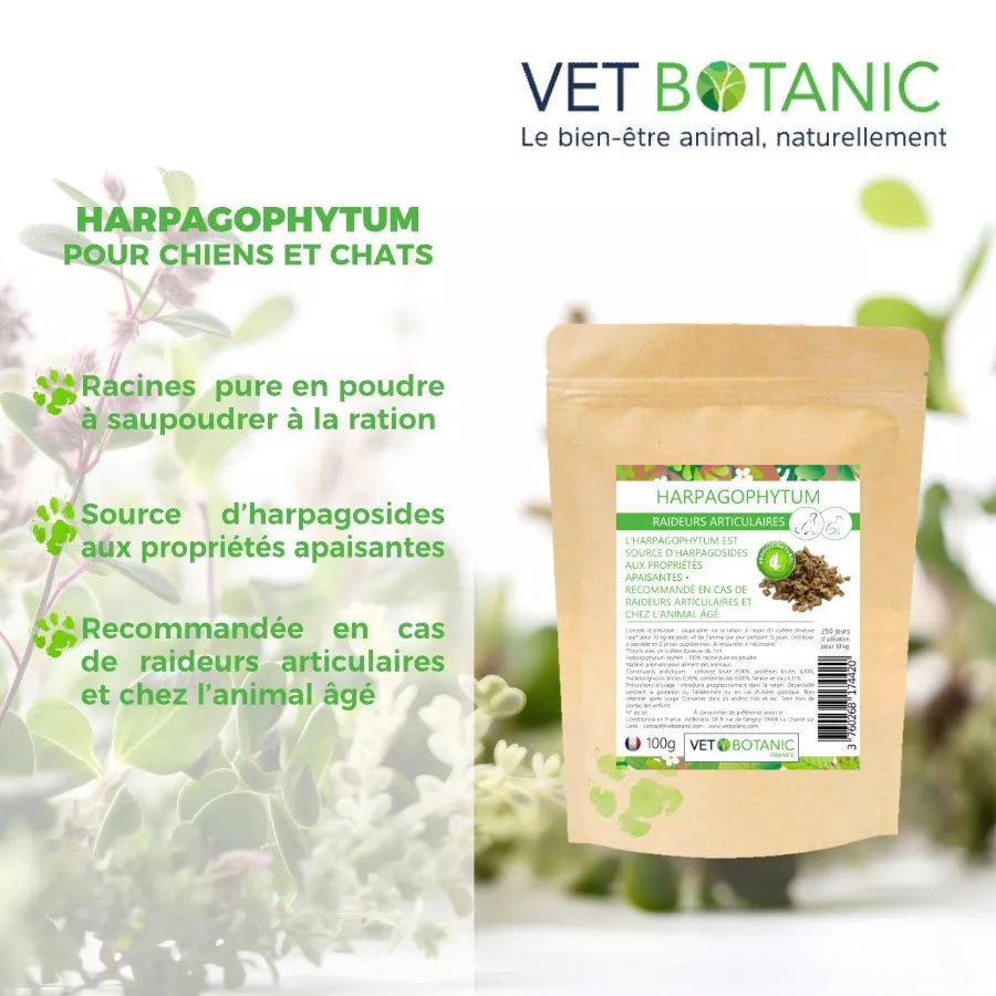 HARPAGOPHYTUM Racine pure en poudre – Raideurs articulaires chiens et chats