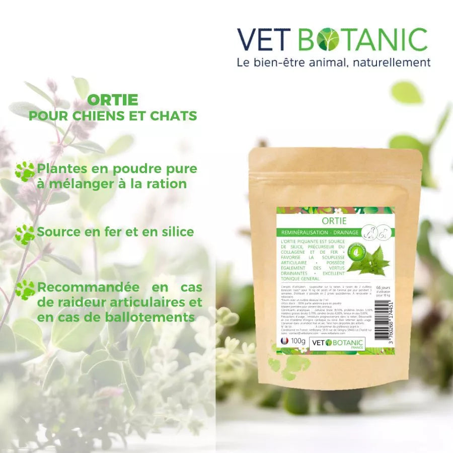 ORTIE Plante pure en poudre – Reminéralisation & draînage chiens et chats