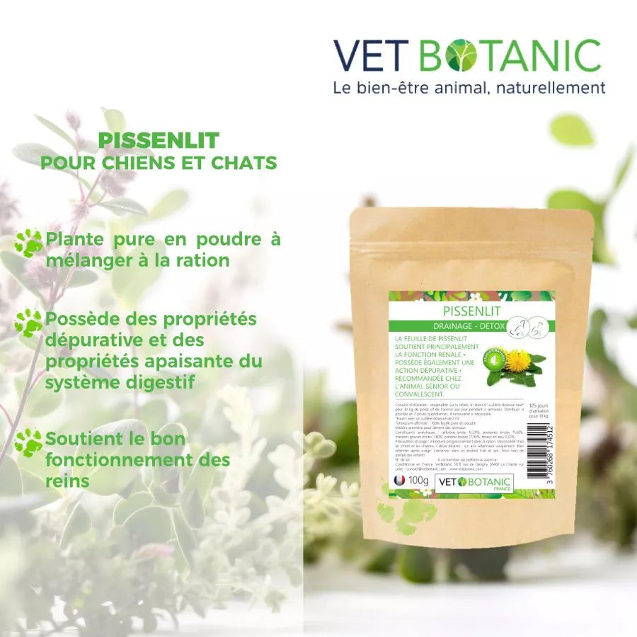 PISSENLIT Plante pure en poudre – Draînage et détox chiens et chats