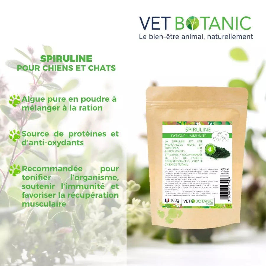 SPIRULINE – Algue pure en poudre – Fortifiant & revitalisant chiens et chats