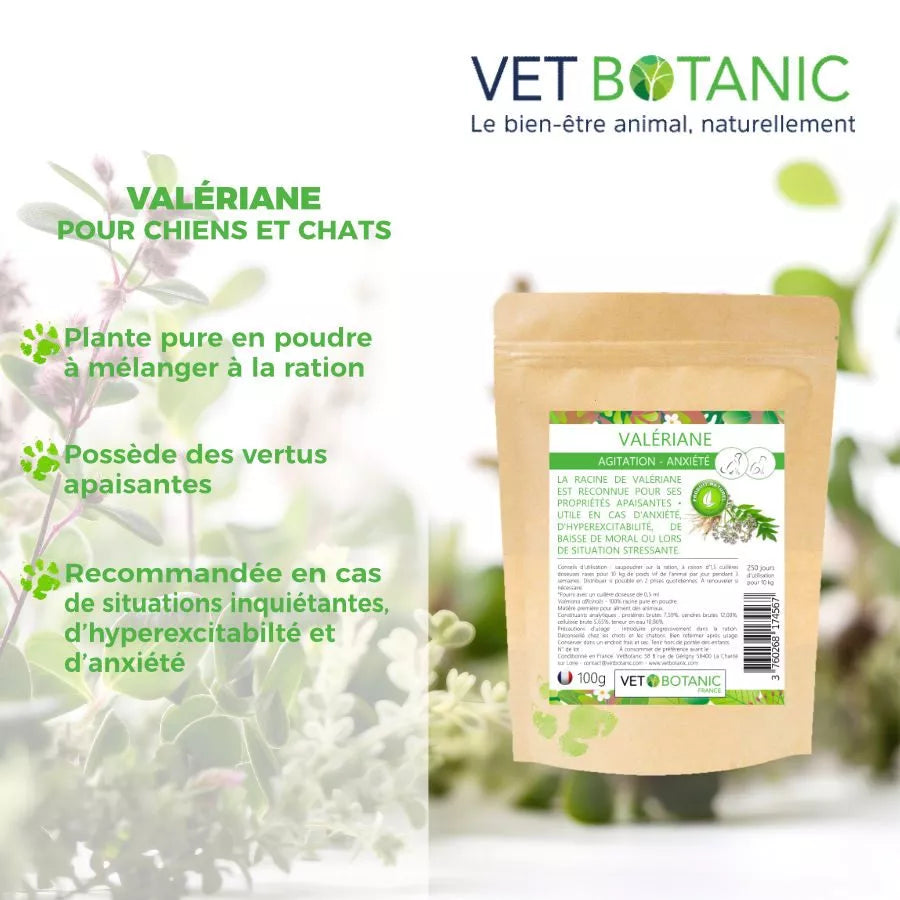 VALERIANE Plante pure en poudre – Agitation et anxiété chiens et chats