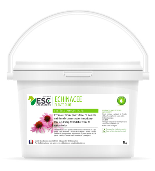 ECHINACEE ESC – Défenses immunitaires cheval – Plante pure