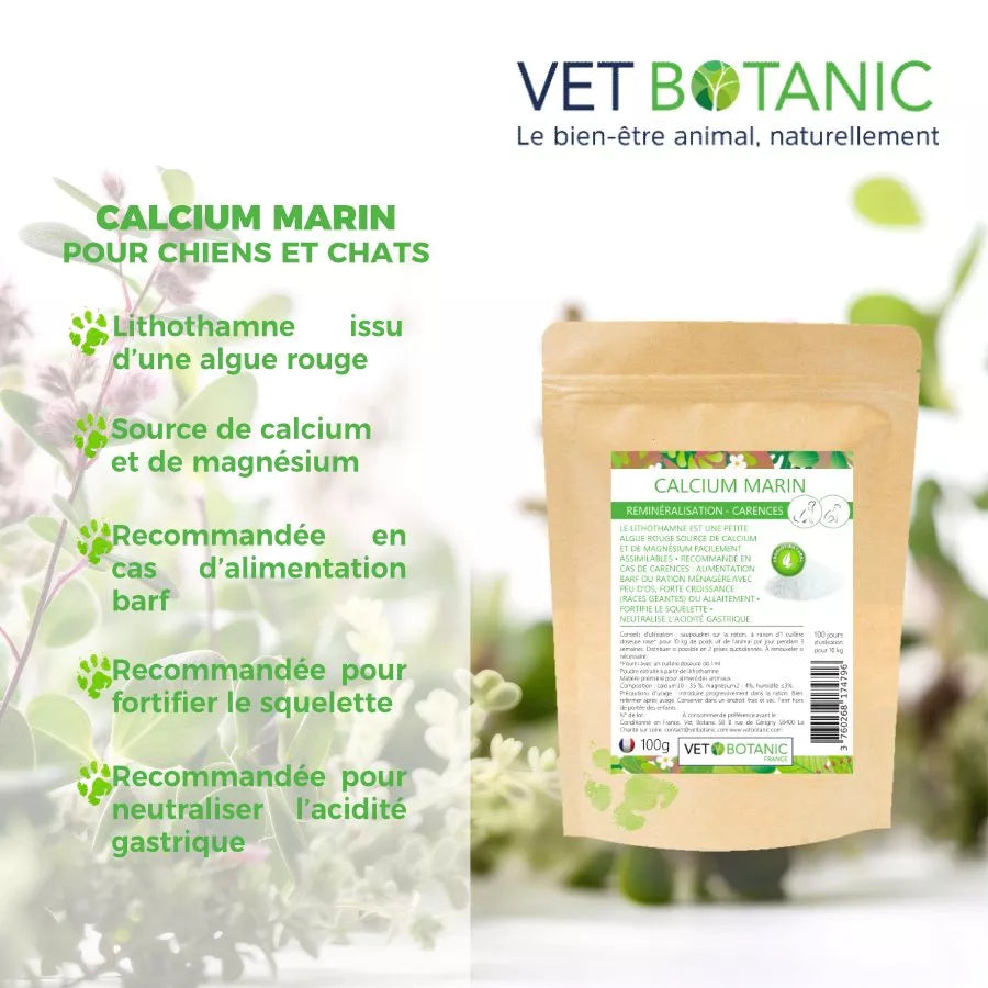 CALCIUM MARIN – Reminéralisation et carences chien et chat