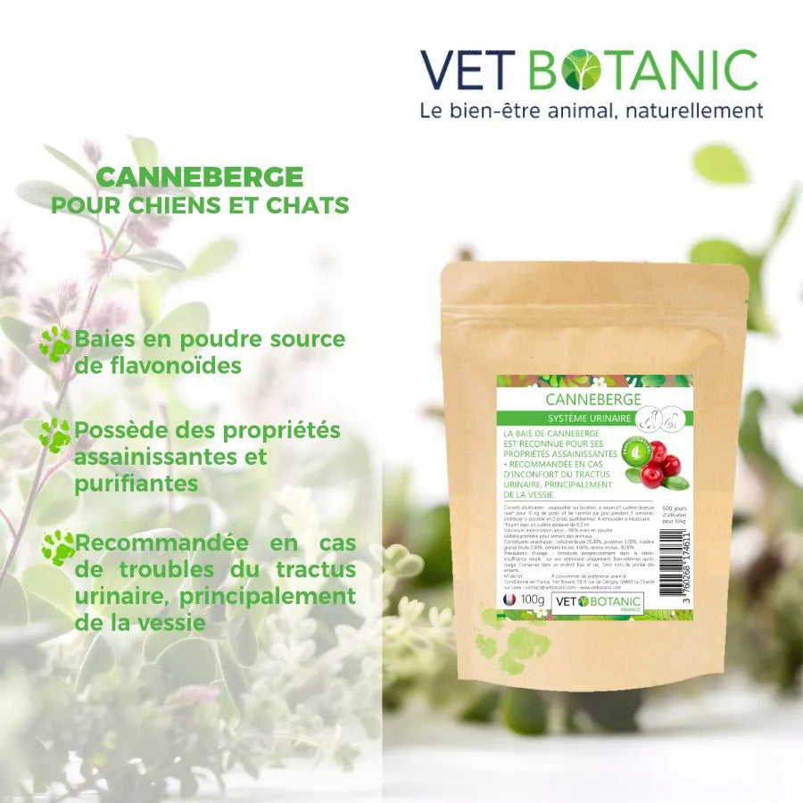 CANNEBERGE Baies en poudre – Système urinaire chiens et chats