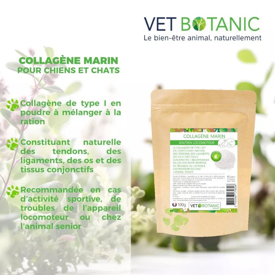 COLLAGENE MARIN – Soutien locomoteur du chien et du chat
