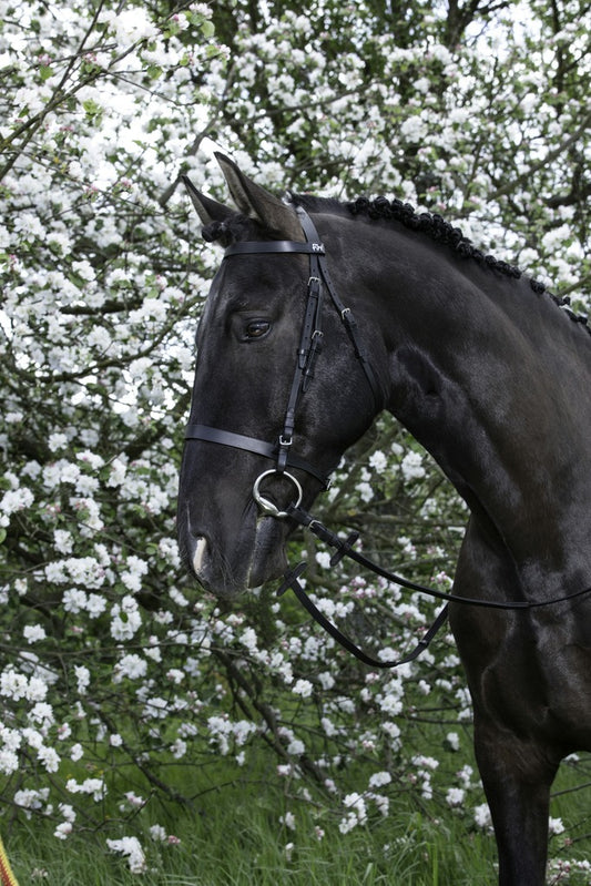 BRIDON RIDING WORLD "MUSEROLLE FRANÇAISE", 4 tailles dès shetland