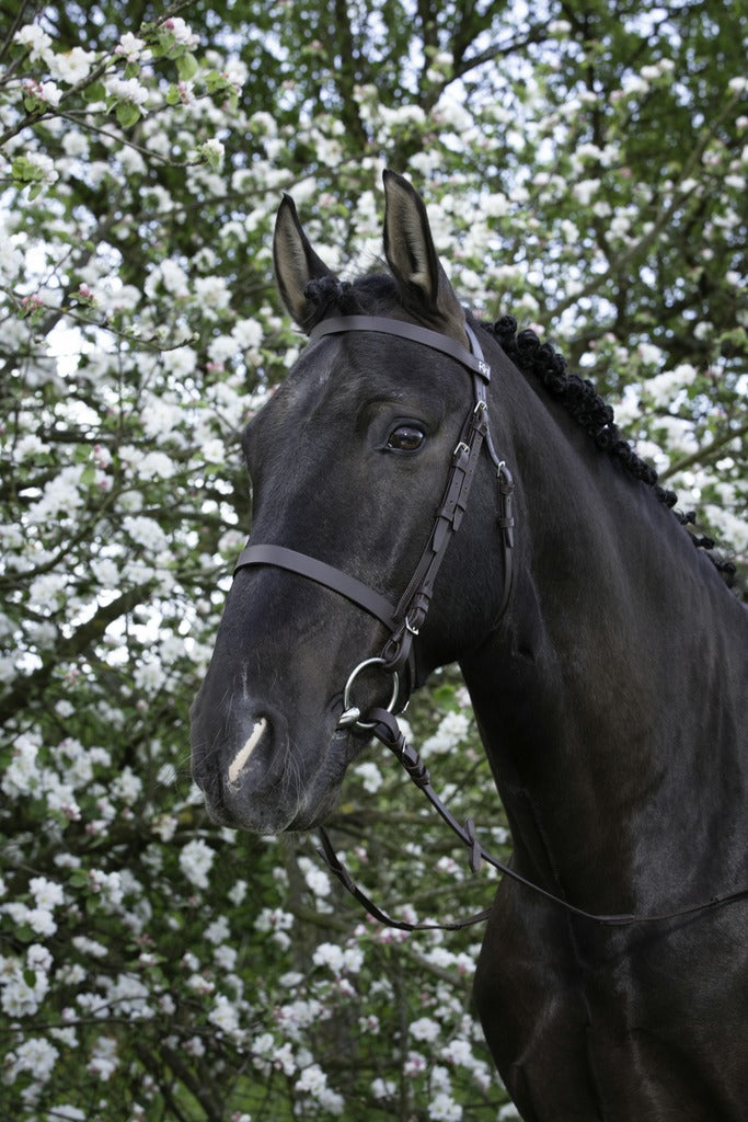 BRIDON RIDING WORLD "MUSEROLLE FRANÇAISE", 4 tailles dès shetland