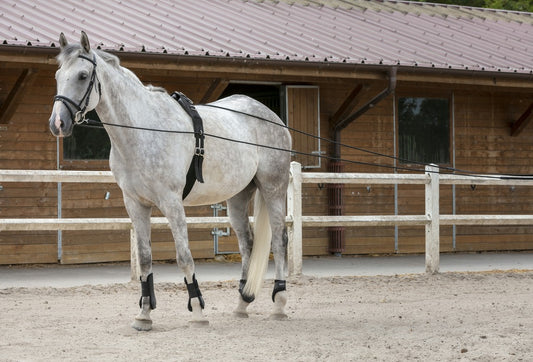 Longues rênes RIDING WORLD en cuir et corde