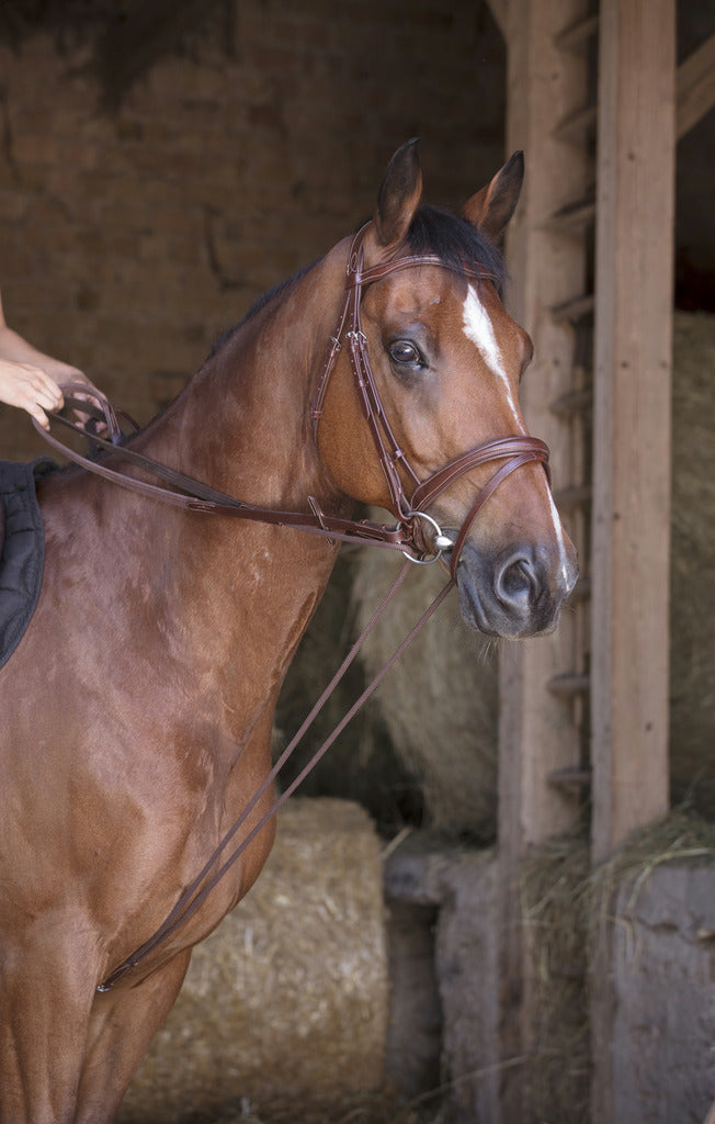 RÊNES ALLEMANDE CUIR/CORDE NORTON PRO