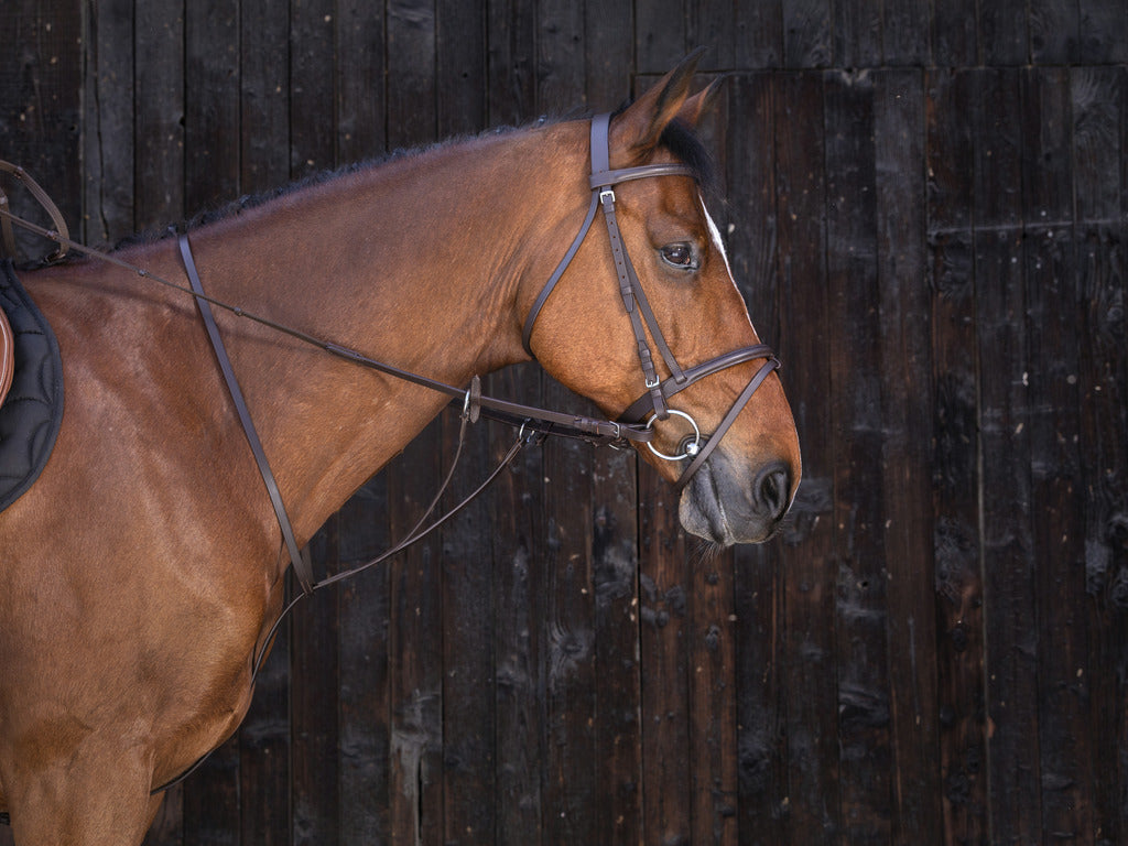 MARTINGALE À ANNEAUX RIDING WORLD