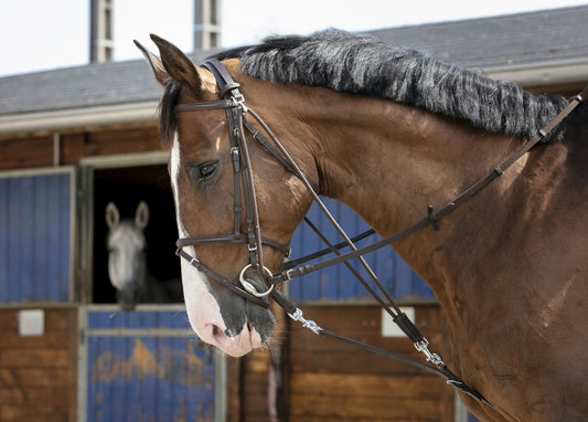 GOGUE À POULIES RIDING WORLD