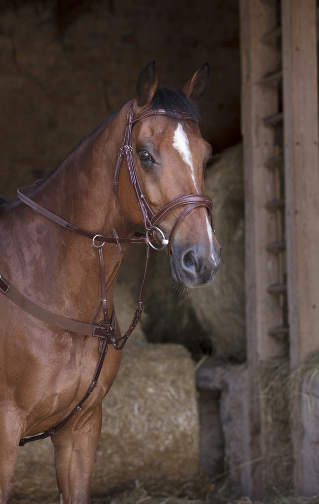 Collier de chasse élastique NORTON PRO