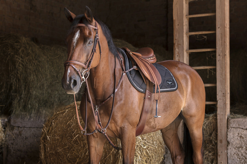 Collier de chasse ERIC THOMAS HYBRID