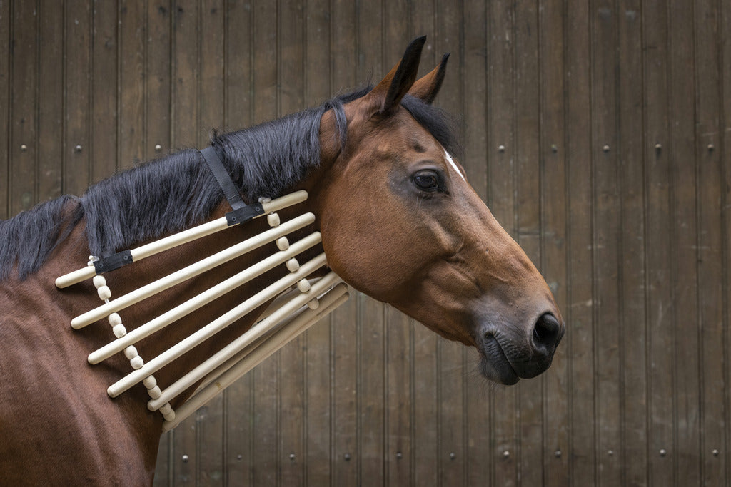 COLLIER DE BOIS HIPPOTONIC