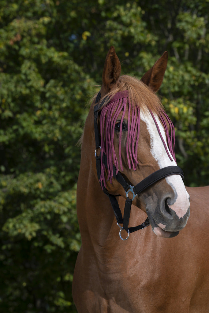 FRONTAL CHASSE-MOUCHES NORTON, 3 tailles, 10 coloris