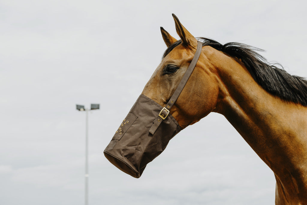 MUSETTE HIPPOTONIC 600 DENIERS