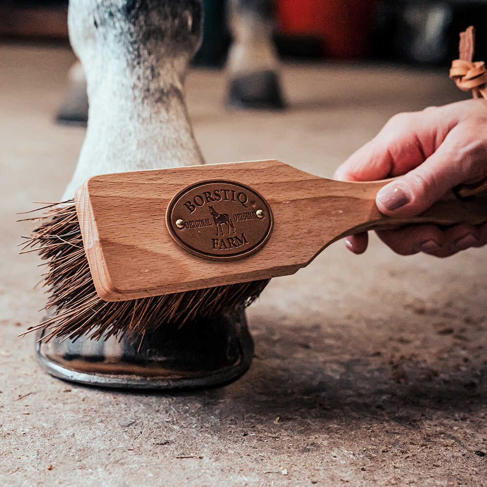 Brosse à sabots BORSTIQ - Islandaise