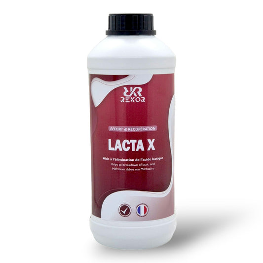 ALIMENT COMPLÉMENTAIRE REKOR "LACTA X"