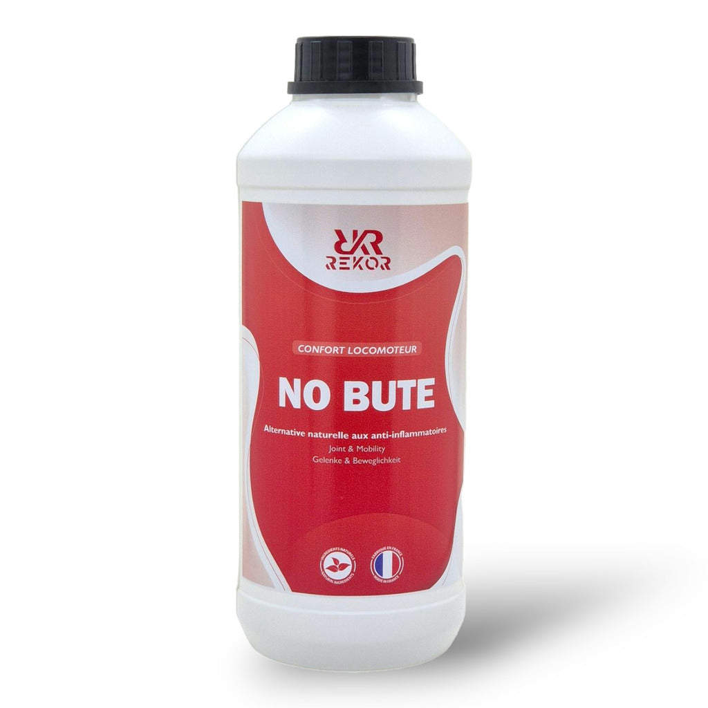 ALIMENT COMPLÉMENTAIRE REKOR "NO BUTE"