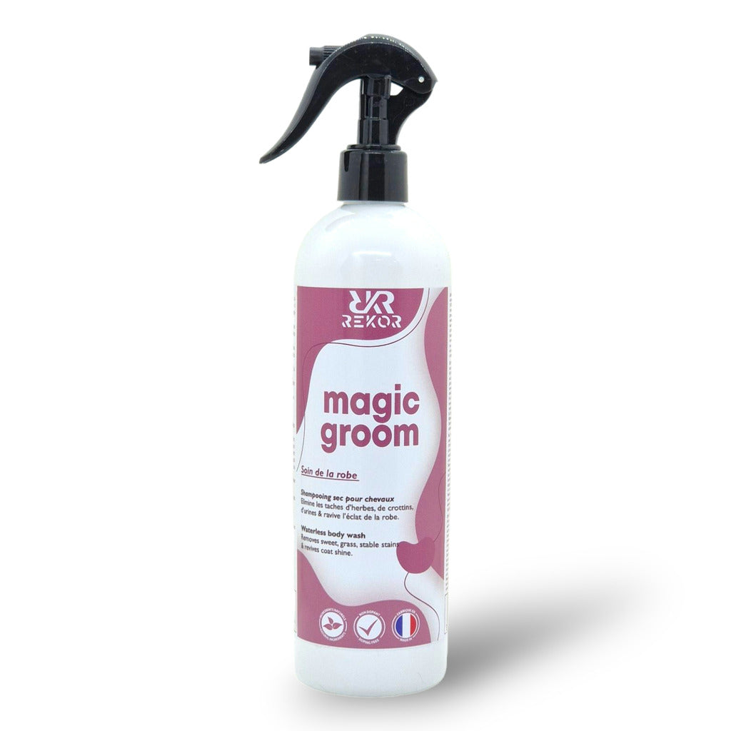 SHAMPOING SEC REKOR "MAGIC GROOM"