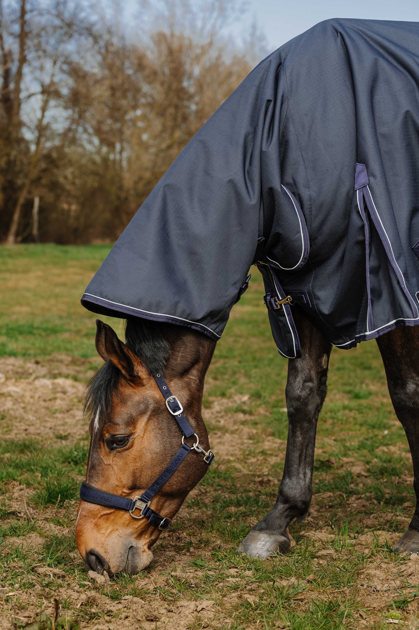 Chemise d'extérieur 0g EQUITHÈME - Anatomic combo 1200D (avec couvre-cou intégré)