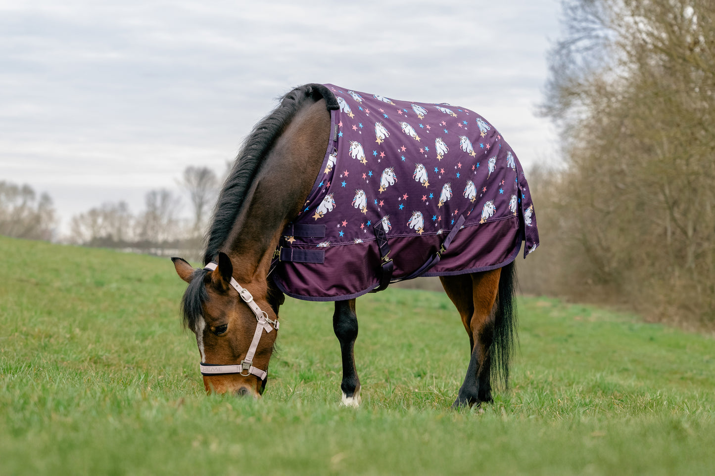 Chemise EQUITHÈME - Licorne standard 600D imperméable et respirante - 80 à 120 cm