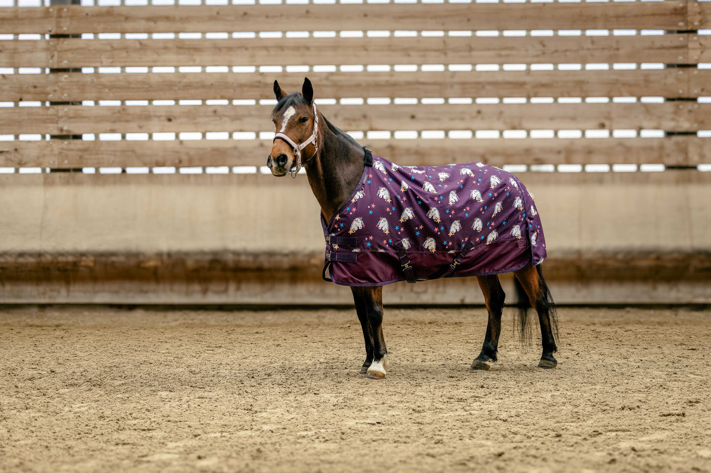 Chemise EQUITHÈME - Licorne standard 600D imperméable et respirante - 80 à 120 cm