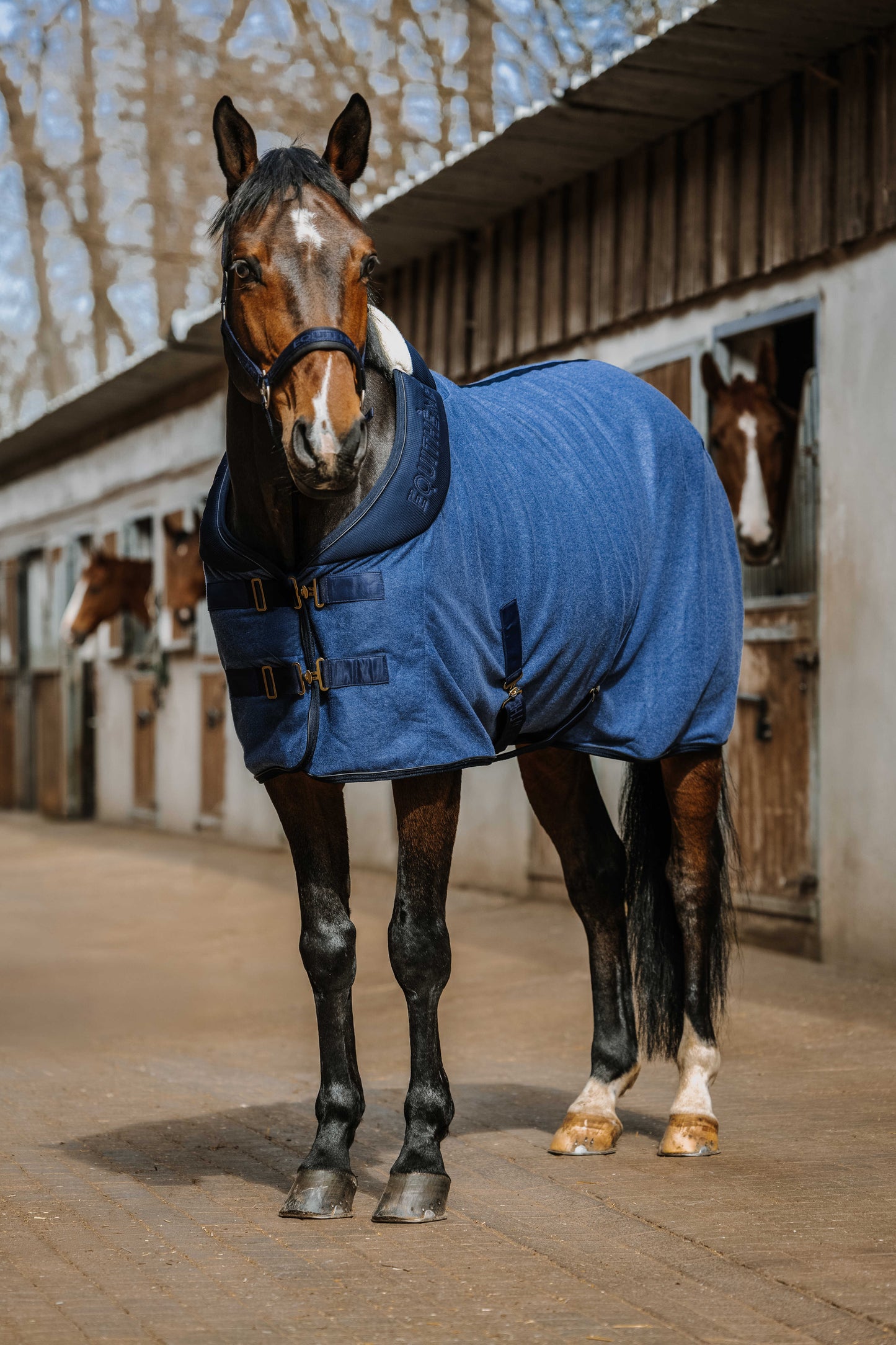 Chemise EQUITHÈME - Confortech