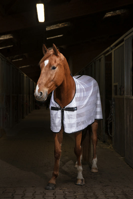 Couverture RIDING WORLD "MESH"